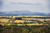 Incompreendido, o Cerrado deixase levar pelas aparências.  É usado como moeda de troca pela preservação da rain forest (na foto, região ao Sul de Goiás)
