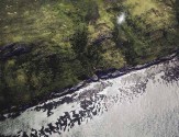 Desde o fim da guerra, há 25 anos, as Ilhas Malvinas, ou Falkland, abandonaram uma economia de base agrícola - especialmente a criação de ovelhas - para explorar o mar.