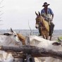 retrato2 Zé Geraldo é vaqueiro lá em Vereda Danta, pequeno povoado entre Serra das Araras e São Francisco.