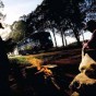 BR-365 - Os "chapistas", ajudantes de carga, em Uberlândia