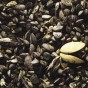 A profusão de mexilhões e algas ("kelp") deu origem ao apelido dos habitantes, os "kelpers", e indica a riqueza marinha.