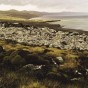 Ele descreveu a paisagem sem árvores das ilhas como “desolada e miserável”.
