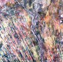 Deserto de Kalahari - A areia avança sobre o que resta das plantações ao Norte da Namíbia, marcadas nesta imagem em vermelho vivo