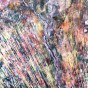 Deserto de Kalahari - A areia avança sobre o que resta das plantações ao Norte da Namíbia, marcadas nesta imagem em vermelho vivo