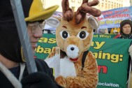 Foto de Fernando Zarur, da WWF