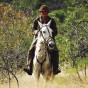 Caatinga