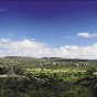 Caatinga2 O sertão a perder de vista pode ser o cenário da desolação, ou palco de riqueza natural e cultural