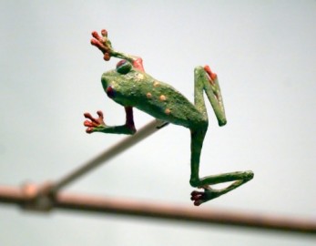 “Skinny Frog” // Foto de CarbonNYC via Flickr