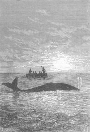 http://commons.wikimedia.org/wiki/File:%27Dick_Sand,_A_Captain_at_Fifteen%27_by_Henri_Meyer_021.jpg Ilustração Henri Meyer via Commons Wikimedia