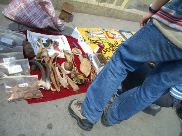 Pênis e patas de tigre e outras partes de animais vendidas ilegalmente num mercado chinês. Foto de Augapfel via Flickr