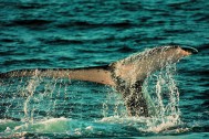 MRE Brasil via Flickr