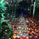Foto de Henrique Vicente via Flickr