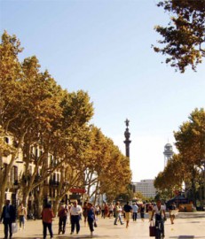 cidades Barcelona: exemplo de cidade que produz tecnologia do conhecimento, no lugar da cidade produtiva industrial