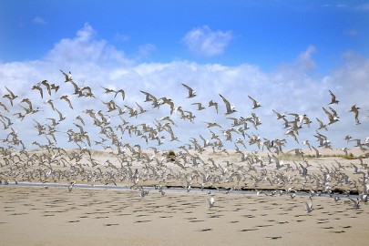 Foto de By Wickboldt via Flickr Foto de By Wickboldt via Flickr