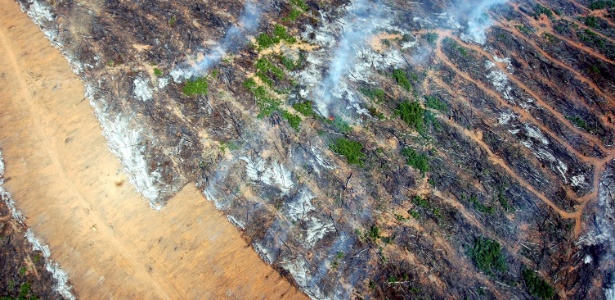 Aumento do desmatamento no bioma Amazônia tem como uma das principais causas a expansão agropecuária. Fonte: amazonia.org.br; Henders, 2015 