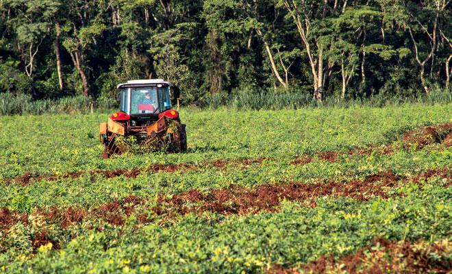 Agricultura de precisão avança no Brasil Fonte: Senar, 2013; Dinheiro Rural, 2016 