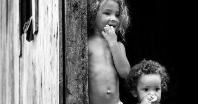 Amazônia, o que fazer? Amazônia, o que fazer?