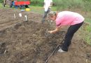 Estudo sobre solos tropicais rende prêmio da Royal Society a pesquisadora no Brasil Estudo sobre solos tropicais rende prêmio da Royal Society a pesquisadora no Brasil