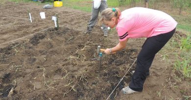 Estudo sobre solos tropicais rende prêmio da Royal Society a pesquisadora no Brasil Estudo sobre solos tropicais rende prêmio da Royal Society a pesquisadora no Brasil
