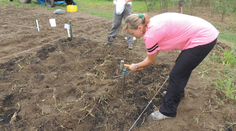 DivulgaÃ§Ã£o _ Professora Agnieszka Latawiec em trabalho de campo