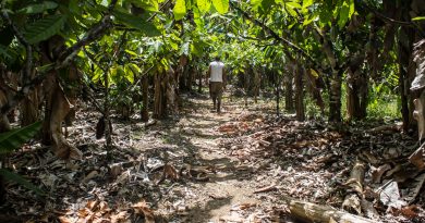 P22_ON: Blockchain socioambiental P22_ON: Blockchain socioambiental