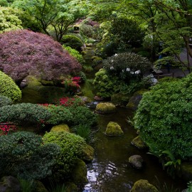 Jardim japonês de Portland. Foto de Mike McCaffrey/ Flickr