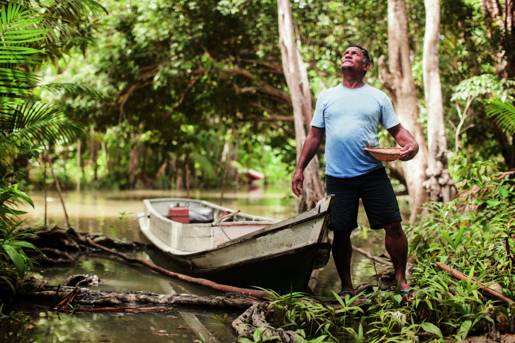 Em busca da Amazônia 2.0