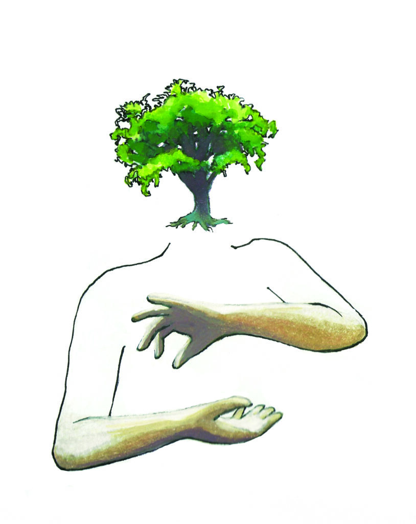 Essa tal de sustentabilidade