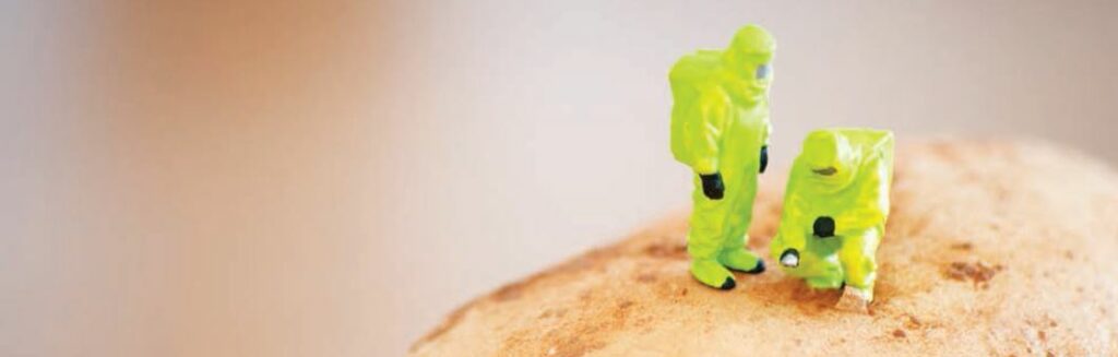 Refletindo sobre os transgênicos