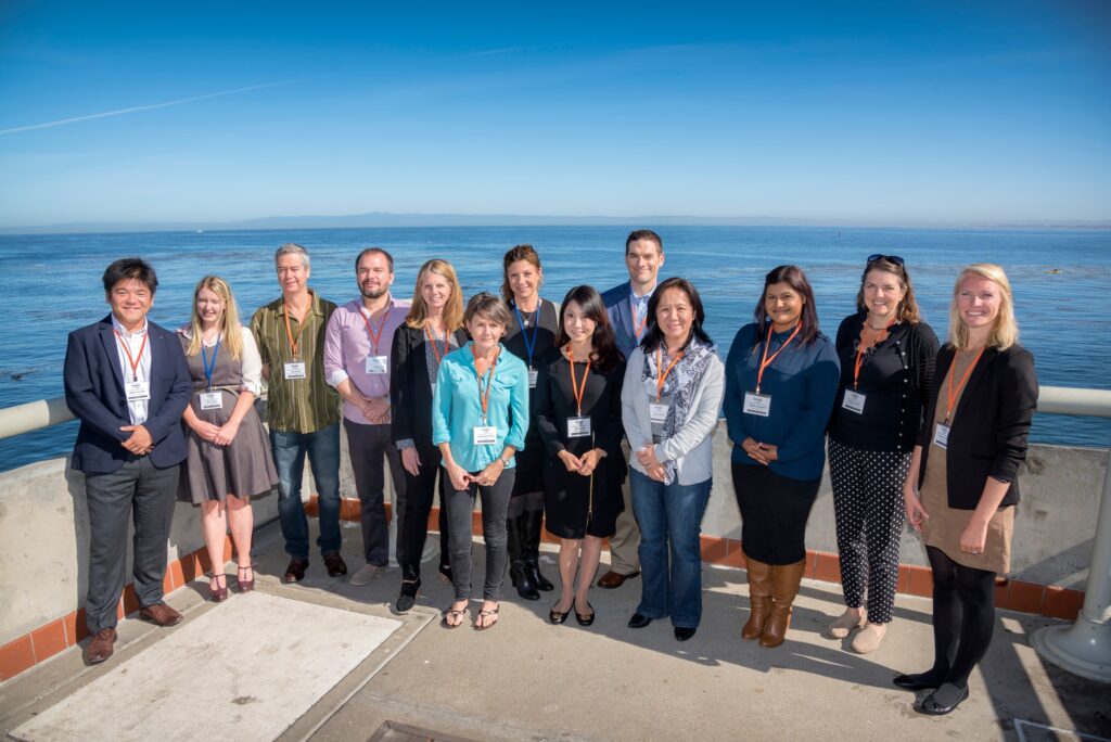 Como fisgar o consumidor para salvar espécies marinhas da sobrepesca