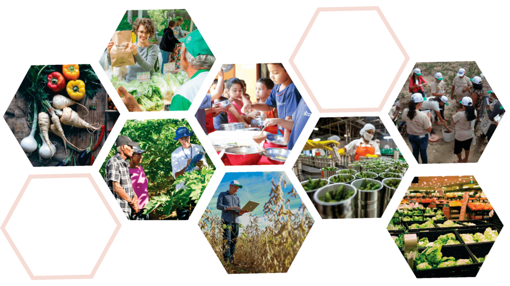 Chamada de Casos: Agricultura familiar e a cadeia de alimentos