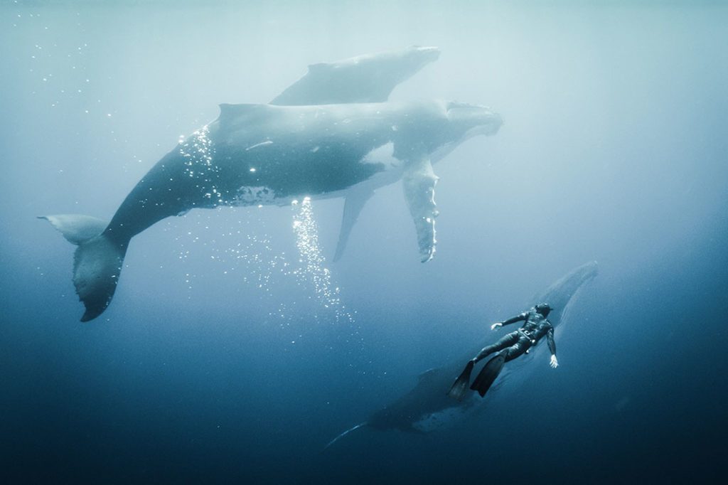 Mostra Ecofalante de Cinema Ambiental chega ao Rio e a Niterói