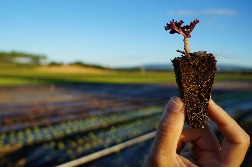 Coalizão de organizações das áreas ambiental e agropecuária apresenta propostas aos candidatos às Eleições 2018