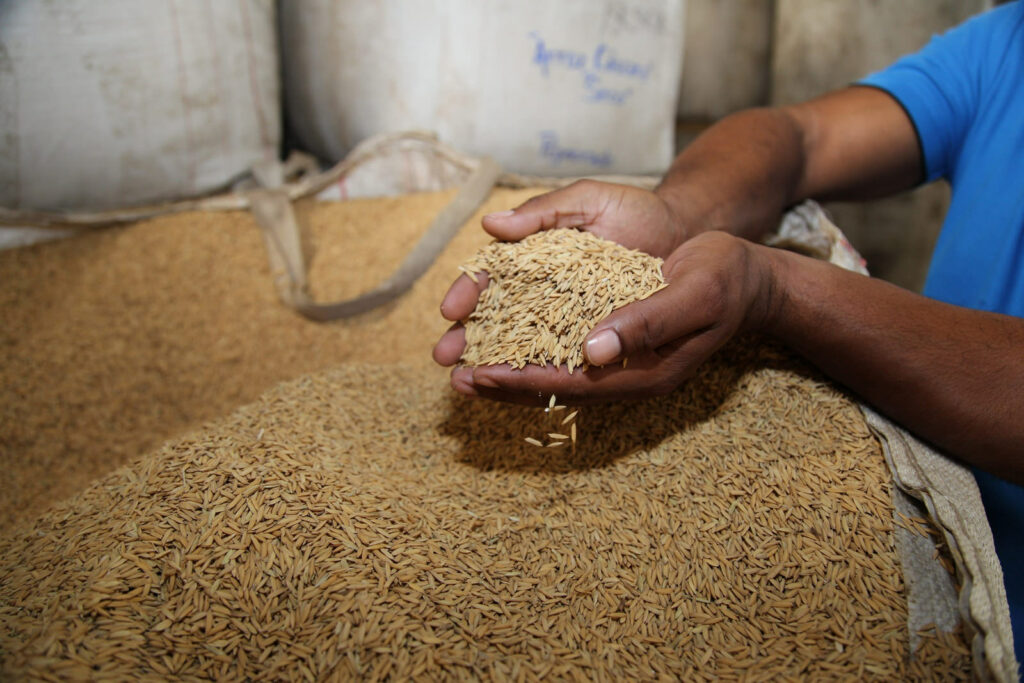 Aumento na emissão de carbono torna alimentos menos nutritivos