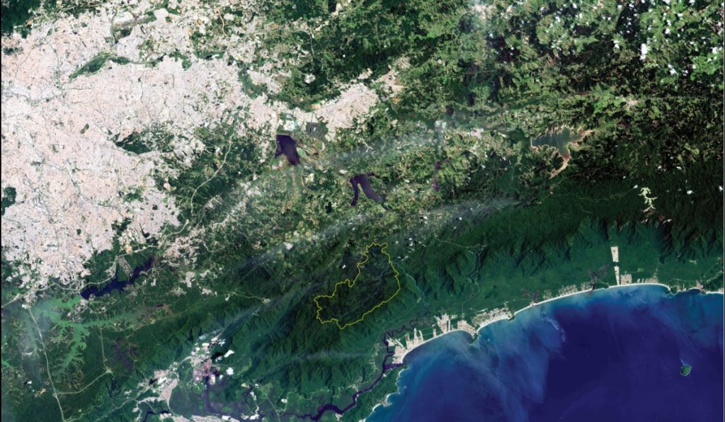 Perca-se nas Neblinas