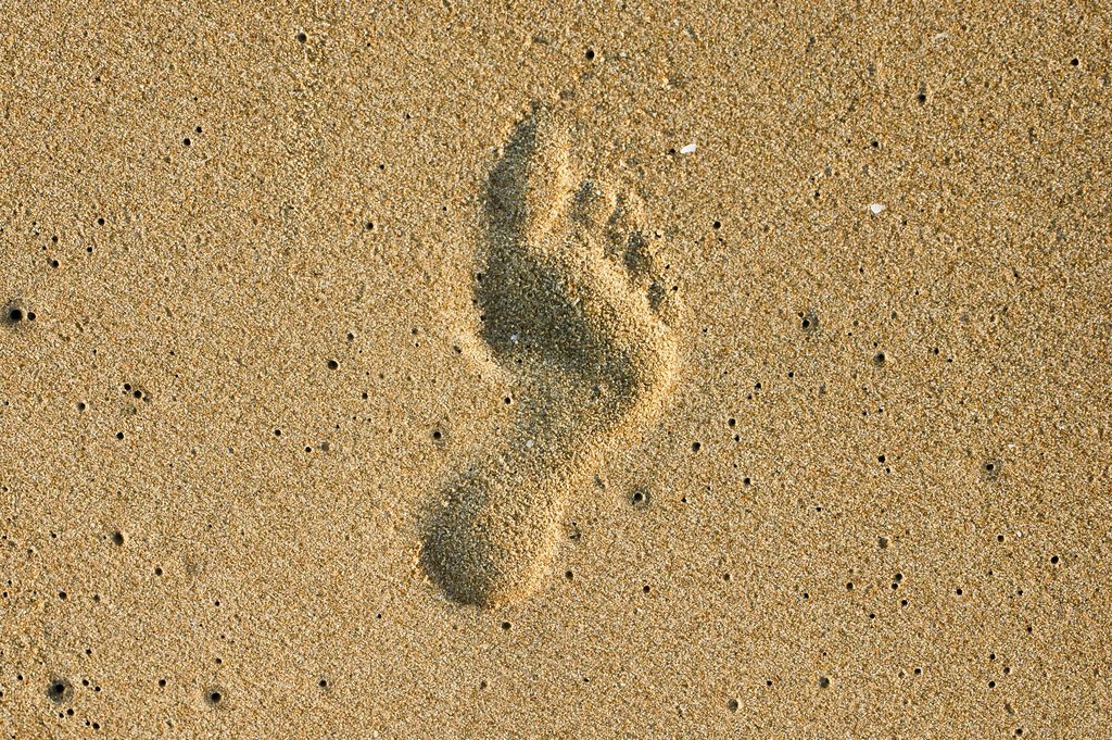 Parceria pretende dar mais robustez e transparência à pegada ecológica dos países