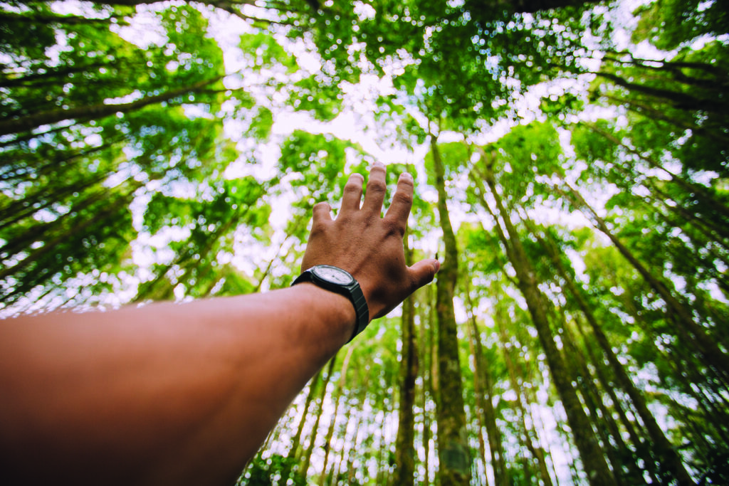 Vamos precisar de todo mundo