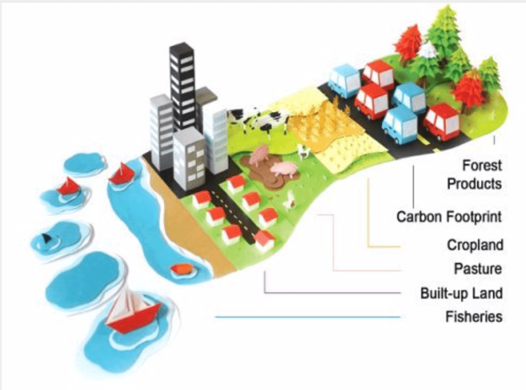 Terra entra no “cheque especial”; saiba como você pode ajudar