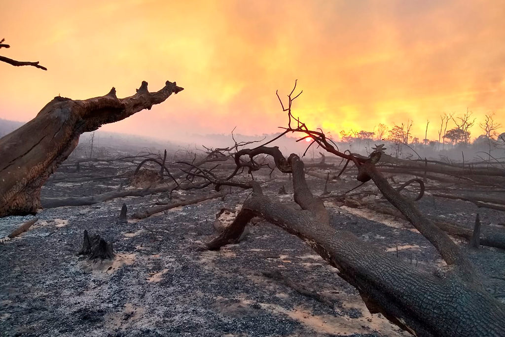 Oito principais desafios que o Brasil tem pela frente na área ambiental
