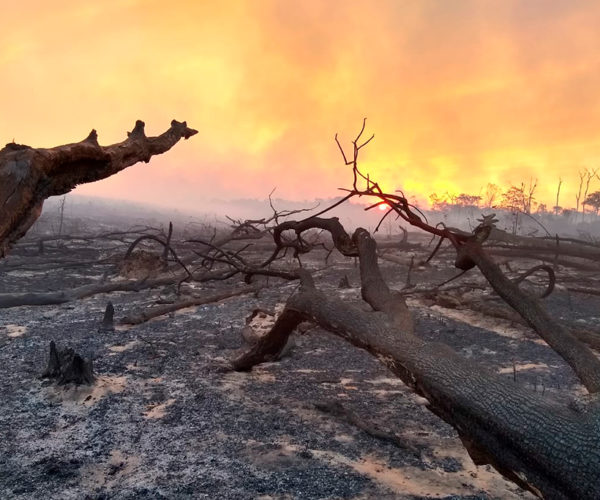 Oito principais desafios que o Brasil tem pela frente na área ambiental