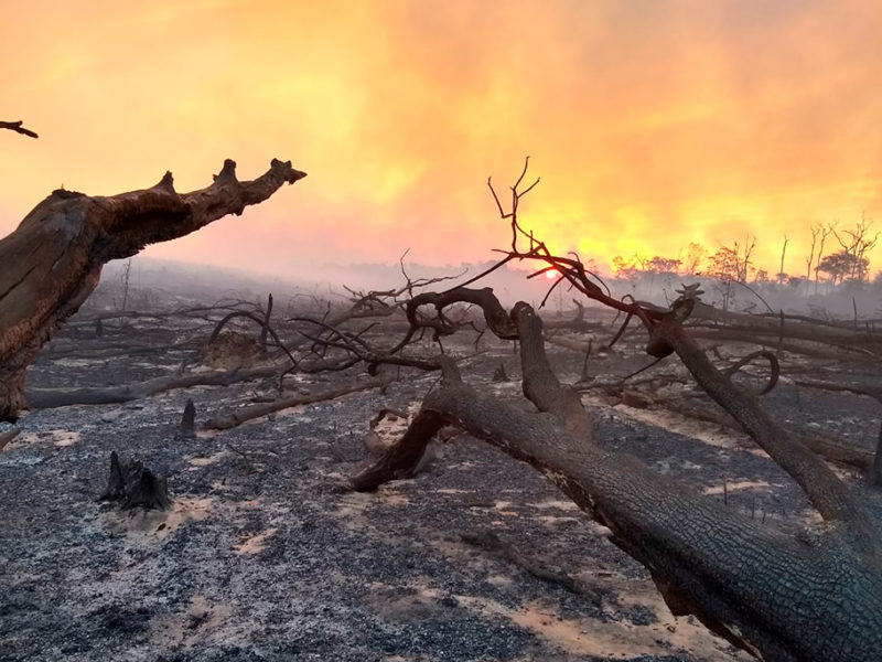Oito principais desafios que o Brasil tem pela frente na área ambiental