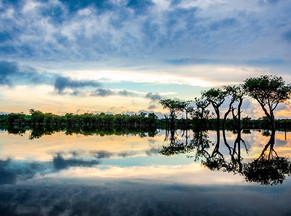 Caminhos para uma Amazônia sustentável