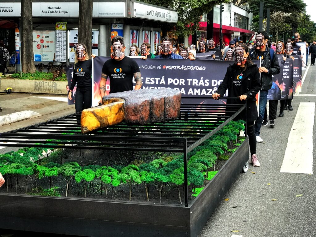 Políticas de conservação da Amazônia podem impactar o custo da dívida brasileira