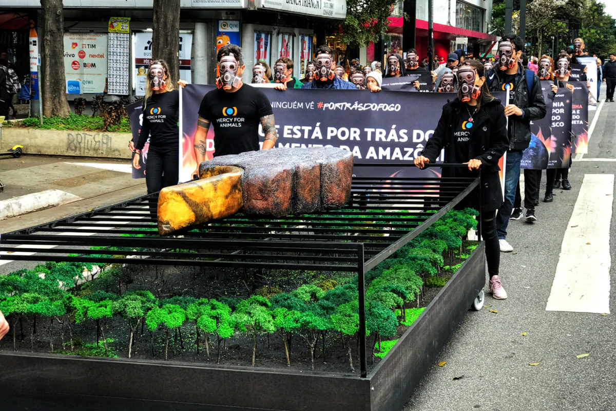 Políticas de conservação da Amazônia podem impactar o custo da dívida brasileira