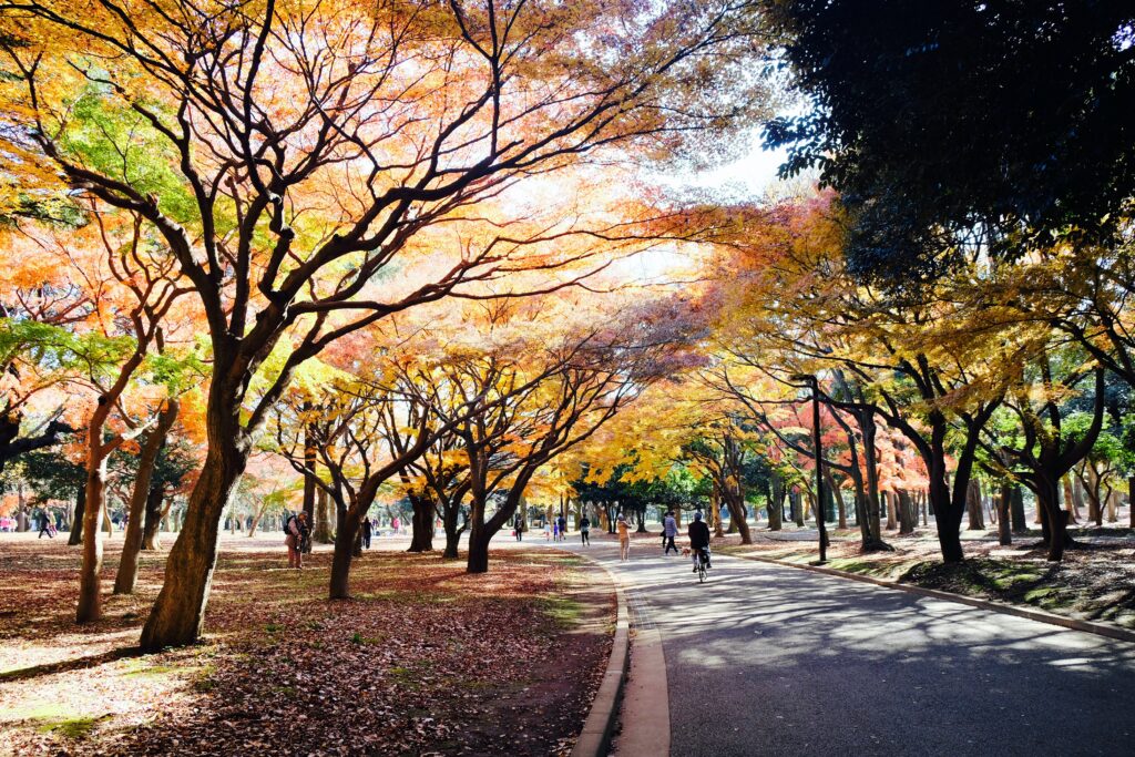 Morar, trabalhar, conviver: o que muda no pós-Covid?