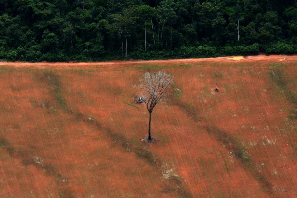 Descumprimento das Metas de Aichi é sinal de alerta para outros acordos globais