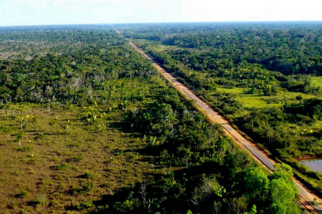 Como a imprensa glorificou a destruição da floresta na ditadura militar
