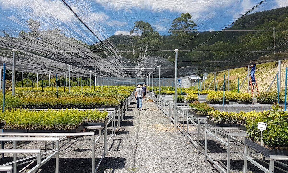 Questão de sobrevivência