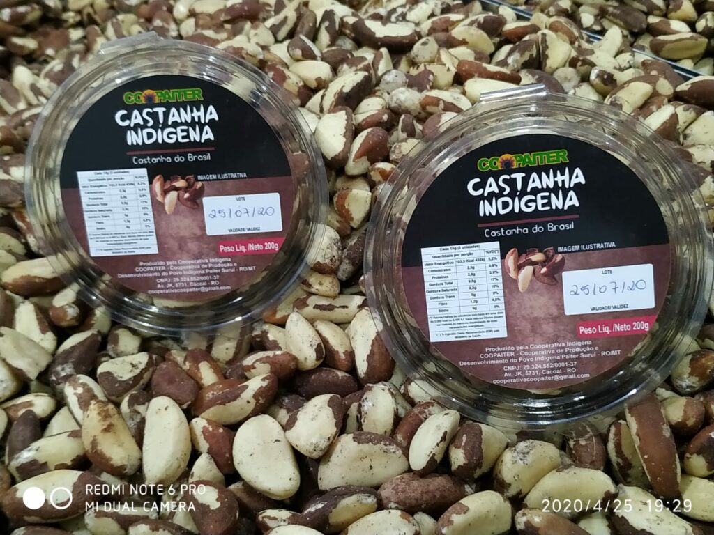 Por que a bioeconomia amazônica é um caminho para o Brasil