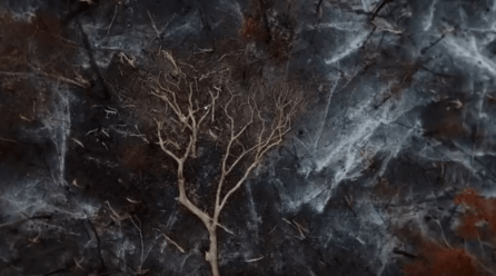 Brasil, brasa, cinza